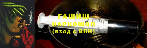 гидра Балахна