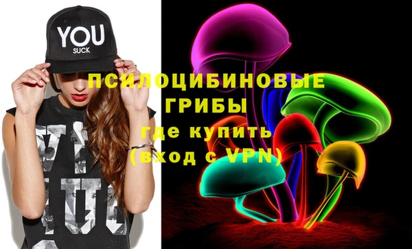 гидра Балахна