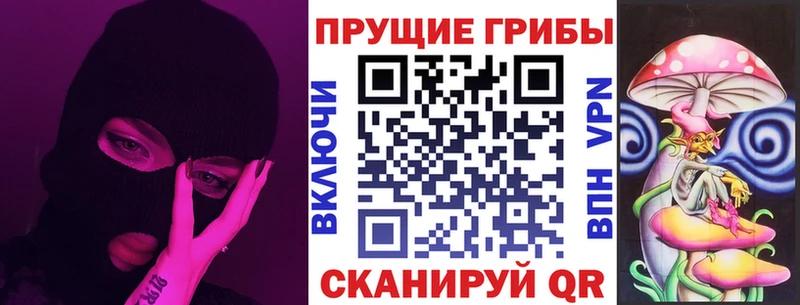 где купить наркотик  Грайворон  Псилоцибиновые грибы Psilocybine cubensis 